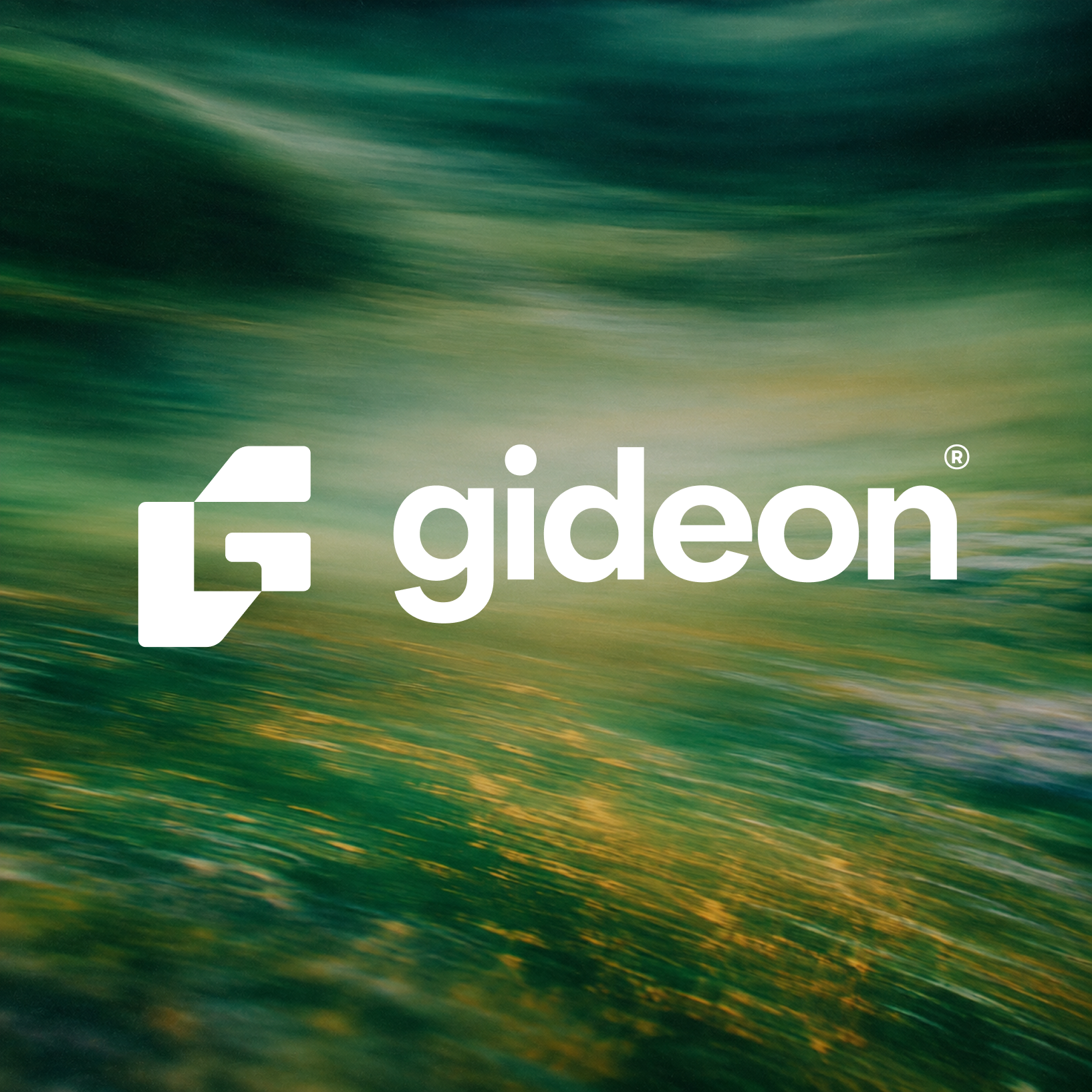 Gideon project screenshot